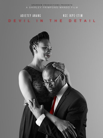 Movie poster for Devil in the Detail (2014)