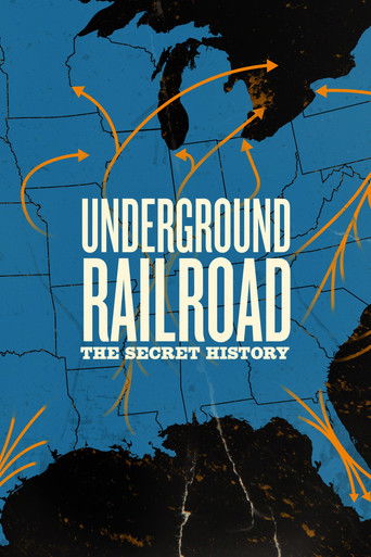 Underground Railroad: The Secret History poster