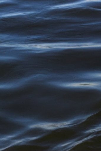 Movie poster for The Flood (2021)
