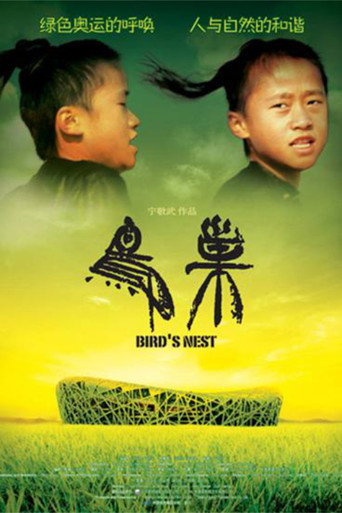 Movie poster for Bird's Nest (2008)