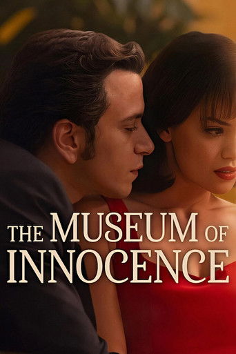 Museum of Innocence poster