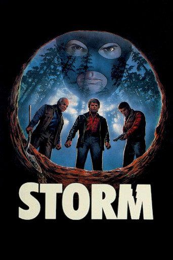 Storm poster