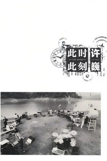 Movie poster for 许巍：此时此刻 纪录片 (2012)
