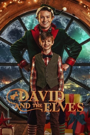 David and the Elves poster