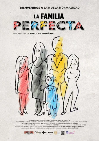 Movie poster for The Perfect Family