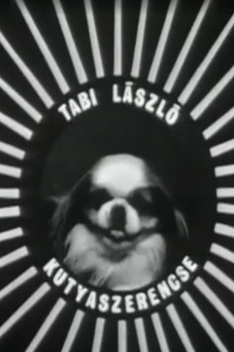 Kutyaszerencse poster