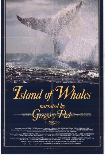 Movie poster for Island of Whales (1990)