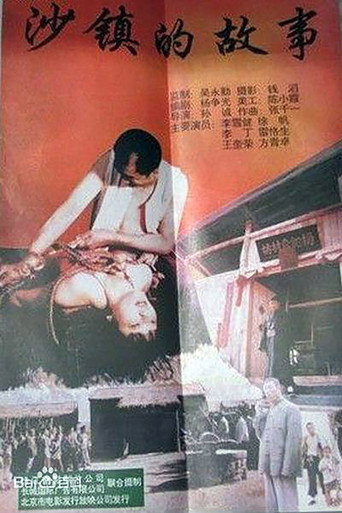 Movie poster for 沙镇的故事 (1996)