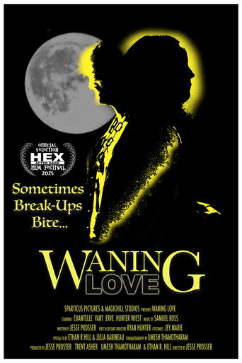 Movie poster for Waning Love