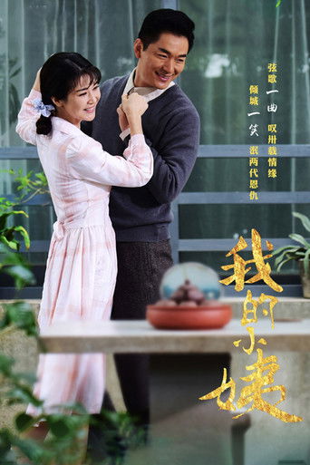 My Little Aunt poster