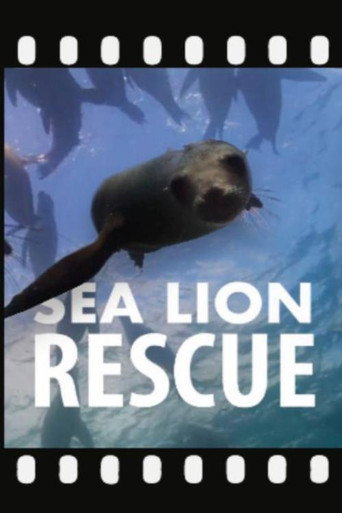 Movie poster for Sea Lion Rescue (2020)