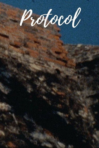 Movie poster for Protocol (2011)