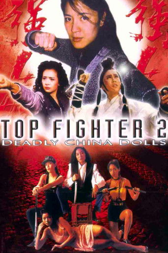 Top Fighter 2 poster