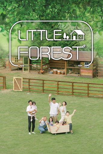 Little Forest poster
