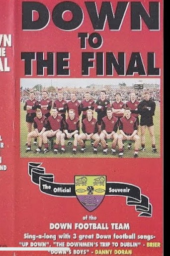 Movie poster for Down To The Final (1994)
