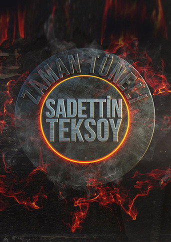 Series poster for Zaman Tüneli (2017)