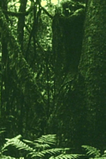 Movie poster for The Eyes in the Woods and the Taste in the Water (2020)