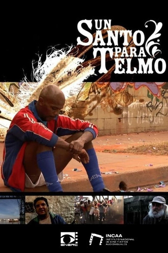 Movie poster for Un santo para Telmo (2007)
