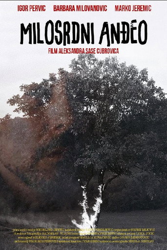 Movie poster for Merciful Angel (2013)
