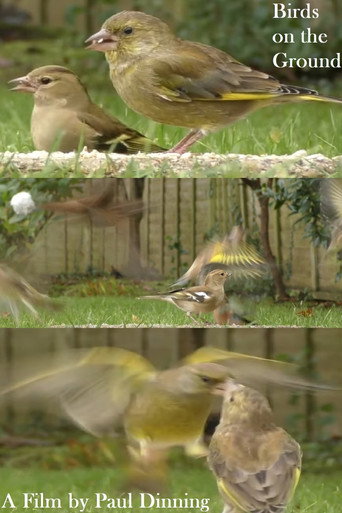 Movie poster for Birds on the Ground (2023)