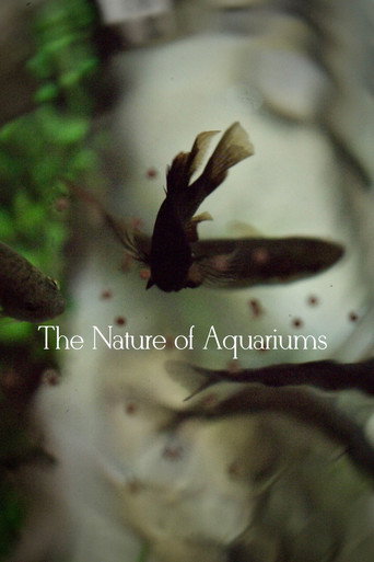 Movie poster for The Nature of Aquariums (2020)