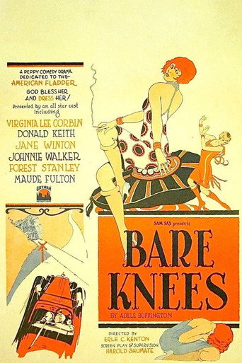 Movie poster for Bare Knees (1928)