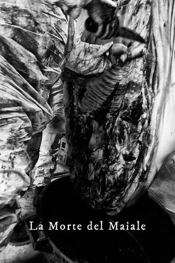 The Death of a Pig poster