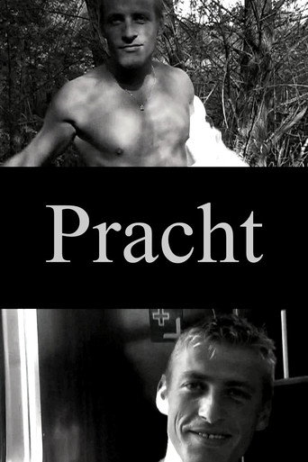 Movie poster for Pracht (2005)