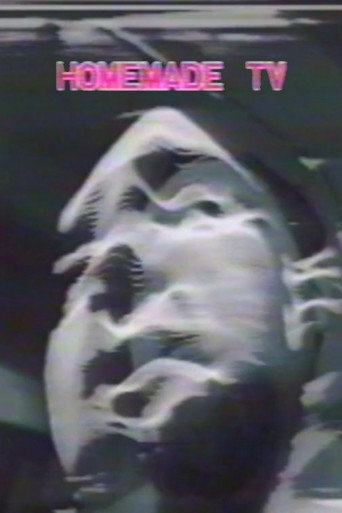 Movie poster for Homemade TV: Vasulkas II (1975)