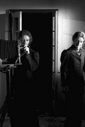 Movie poster for The Multiple Selves of Hannah Maynard (2004)