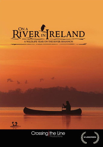Movie poster for On a River in Ireland (2013)
