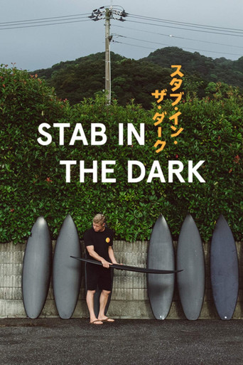 Stab in the Dark poster