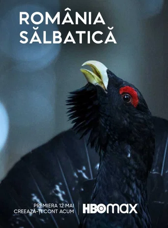 Series poster for Wild Romania (2022)
