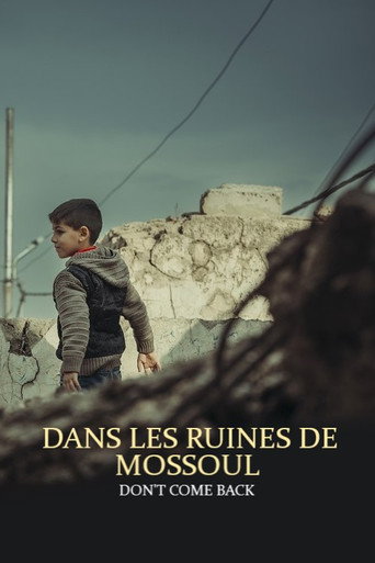 Movie poster for Dans les ruines de Mossoul - Don’t Come Back (2023)
