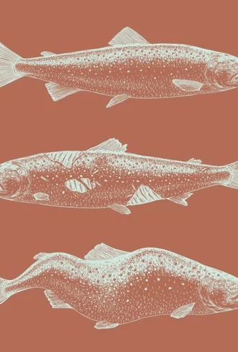 Movie poster for Laxaþjóð - A Salmon Nation (2024)