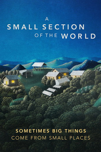 Movie poster for A Small Section of the World (2014)