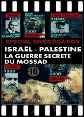 Movie poster for Israël / Palestine: La Guerre Secrète du Mossad (2013)