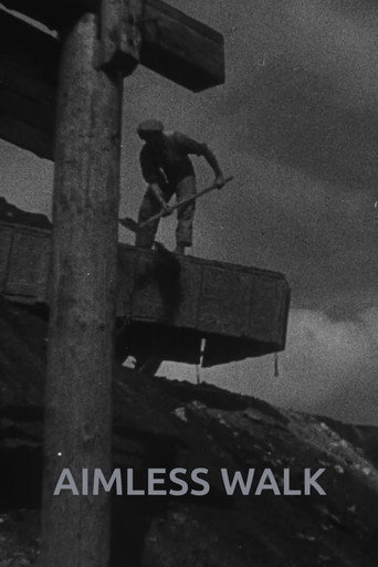 Movie poster for Aimless Walk (1930)