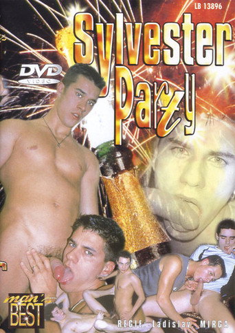 Movie poster for Sylvester Party (2004)