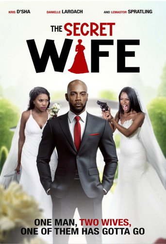 Movie poster for The Secret Wife