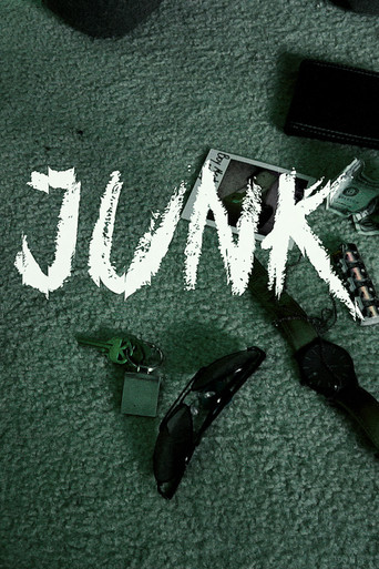 Movie poster for Junk (2017)