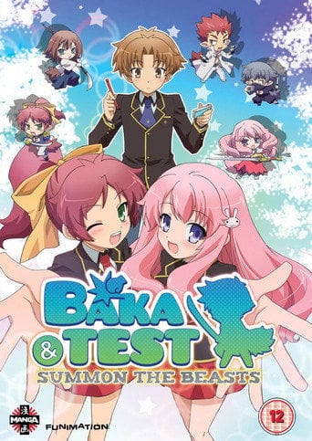Movie poster for バカとテストと召喚獣 (2010)