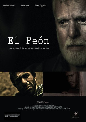 Movie poster for The Pawn (2014)