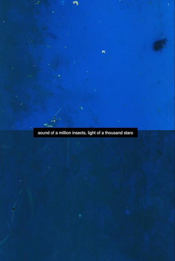 Movie poster for Sound of a Million Insects, Light of a Thousand Stars (2015)