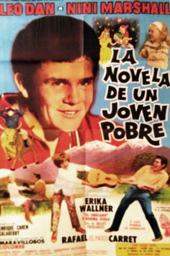 The novel of a poor young man poster