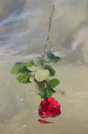 Movie poster for A Red, Red Rose (2020)