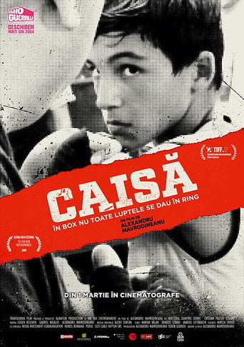 Movie poster for Caisă (2018)