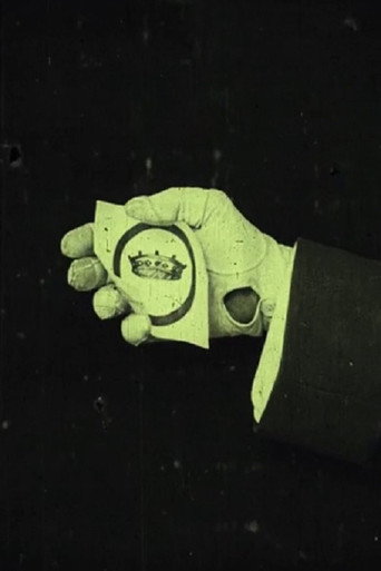 Movie poster for The Black Circle (1913)