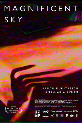 Movie poster for Magnificent Sky
