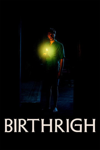 Movie poster for Birthright (2024)